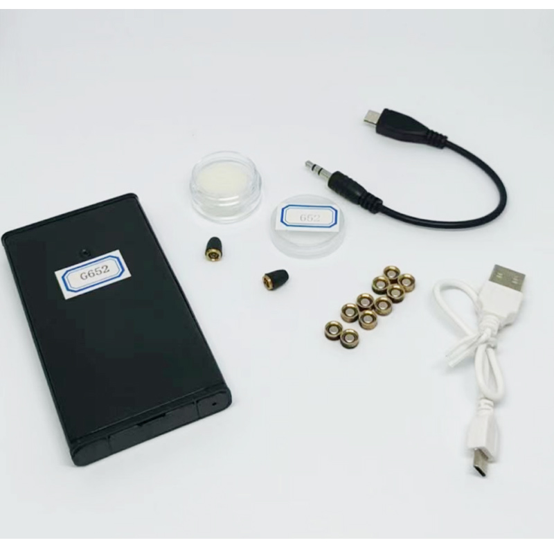 FM+GSM Voice Induction Sender